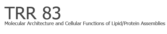 SFB TRR83 – Molecular Architecture and Cellular Functions of Lipid/Protein Assemblies